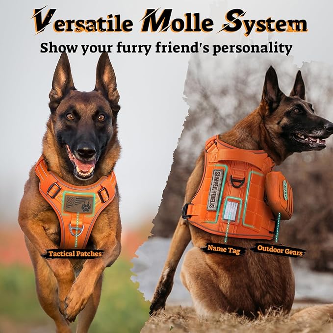 rabbitgoo Dog Harness Small Sized No Pull, Tactical Service Pet Vest with Molle and Control Handle, Adjustable and Reflective Military Harness for Easy Walking and Training, Orange, S