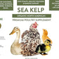 Organic Kelp for Chickens & Duck Feed (1 Pound): Chicken Vitamins | Chicken Supplements | Vitamins for Chickens | Pampered Chicken Mama