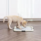 IRIS USA Pee Pad Holder for Puppy Training, Secured Latches, Non-Skid Feet, Fits 22"x22" Pads, Dark Gray + 100 Puppy Pads, Leak Proof, Quick Dry, 6-Layer Absorbent Design, 22"x22"
