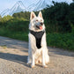 Eagloo Dog Harness for Large Dogs, No Pull Service Vest with Reflective Strips and Control Handle, Adjustable and Comfortable for Walking, No Choke Pet Harness with 2 Metal Rings, Black, XL