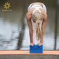 Sunshine Yoga 3" Yoga Block, 10 Pack Bulk EVA Foam Yoga Blocks, Firm and Supportive Yoga Brick, Balance Foam for Stretching, Pilates, and Workout, 3" x 6" x 9"