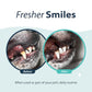 Dental Fresh Oral Spray for Dogs and Cats, Eliminates Bad Breath and Protects Their Teeth & Gums, 4 Fl Oz.