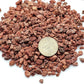 TOYPOPOR 6lb Red Lava Rocks Soil for Plants, Bonsai Cacti Succulents Horticultural Stones, Natural Decorative Volcanic Drainage Gravel for Vase Fillers, Terrarium, Top Dressing, Landscaping, Gardening