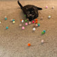 40-Piece Cat Toy Set for Indoor Cats and Kittens (1.5'' - 2.3'', Cat Toys Ultimate Pack)