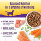 Wellness Complete Health Thick & Chunky Natural Grain Free Canned Wet Dog Food, Chicken Stew, 12.5-Ounce Can (Pack of 12)