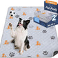 Washable Pee Pads for Dogs, 2 Pack Absorbent Reusable Training Dog Pads Pet Puppy Pads, Non-Slip Potty Pads for Whelping, Playpen, Crate, Bed, Orange, 36"x41"