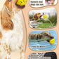 2.36'' Dog Balls for Dogs Aggressive Chewers Indestructible Tennis Durable Bouncy Interactive Dog Toy Balls for Fetch Game Floating Training(Yellow Medium)