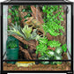 REPTIZOO 60 Gallon Glass Reptile Tank, 24" x 24" x 24" Large Reptile Terrarium Front Opening Terrarium with Double Hinge Door and Top Screen Ventilation, Easy Assembly Enclosure Tank