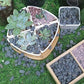 2.4lb River Rocks Pebbles for Plants & Succulents, Decorative Outdoor Landscaping & Aquarium Garden Rocks