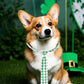 PET SHOW 10 Pack St. Patrick's Day Dog Ties Neckties for Large Medium Dogs Adjustable Holiday Grooming Accessories Neck Ties Bowties Girl Boy Pets Festival Costumes Puppy Wedding Party Gift Favor