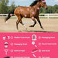 11PCS Horse Grooming Kit Curry Comb Sweat Scraper Horse Bathing Supplies Grooming Tools with Storage Bag Pink Garnet