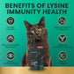 VetriScience Lysine Immunity Health Chews, 250 mg Lysine Plus Immune Supplement for Cats and Kittens with Allergies, Sneezing, Runny Nose and Watery Eyes, Chicken, 90 Count