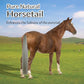 Horse Tail Extension with Braided Horsehair Loop, Blunt Cut Bottom, 3/8 lb, 28-30 inches (Medium gray)