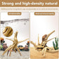 Natural Large Spiderwood Driftwood for Aquarium Decor Rptile Fish Tank Decoration Assort Branch 11-14'' 2 Pcs