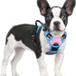 rabbitgoo Dog Harness No Pull with 2 Leash Clips, Adjustable Soft Padded, Reflective Oxford No Choke Pet Vest with Easy Control Handle for Small Dogs, Pink & Blue, S
