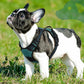 Eagloo Dog Harness Small Sized Dog, No Pull Service Vest with Reflective Strips and Control Handle, Adjustable and Comfortable for Easy Walking, No Choke Pet Harness with 2 Metal Rings, Dark Green, S