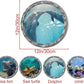4 PCS Removable 3D Under The Sea Nature Scenery Wall Decals - Animals Wall Sticker Home Wall Art Decor for Bathroom Bedroom Door Kids Baby Nursery Room - Includes Turtles, Dolphins, Sea Lions, Coral