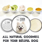 The Blissful Dog American Eskimo Nose Butter for Dry, Cracked Skin, Lick-Safe Dog Nose Balm with Moisturizing Shea Butter, Almond, Olive, and Essential Oils, Pet Supplies, Uncented, 4 oz.