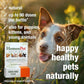 HomeoPet Skin and Itch, Safe and Natural Itch Relief for Dogs and Cats, Coat and Skin Soother for Pets, 15 Milliliters