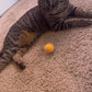 100-Pack Cat Toy Balls – Soft Fuzzy Toys for All Cats to Play and Exercise Indoors (1.5 inch, Cat Toys Pro Collection)