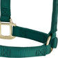Weaver Equine Nylon Horse Halter, Triple-Ply Cheek Design, Original Non Adjustable Halters for Horses, Equine Tack,Average Size, Black