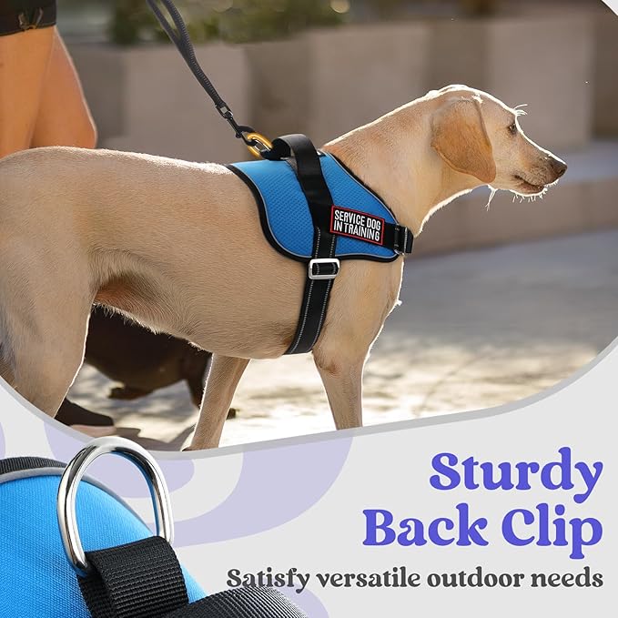 rabbitgoo Dog Harness for Large, Easy On Pet Vest with One Buckle, No Pull Adjustable Service Harness with D-Ring & Handle, Reflective for Safety Walking, Training, Blue, L