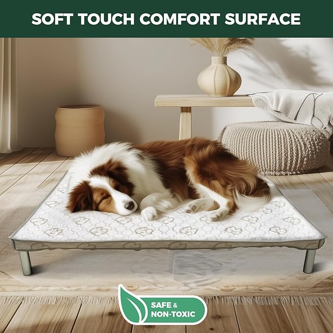 FXW TitanNest Chew-Proof Elevated Dog Bed, Raised Cot for Indoor/Outdoor/Camping Use, Durable & Washable Padded Pet Bed with Exclusive Reuseable Cover for Large Dogs, 50.0" L x 31.0" W x 7.3" H, Gray