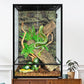 REPTIZOO 90 Gallon Reptile Terrarium 24" x 24" x 36" Large Glass Reptile Tank, Tall Terrarium with Front Opening Door and Top Screen Ventilation Easy Assembly Habitat Tank