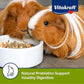 Vitakraft Menu Premium Guinea Pig Food - Alfalfa Pellets Blend - Vitamin and Mineral Fortified 5 Pound (Pack of 1)