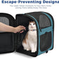 Apollo Walker Dog & Cat Carrier Backpack for 4-15lb Pets - Ventilated Safe Design with Padded Back Support, Breathable Mesh Pet Backpack for Hiking, Travel, Outdoor (Teal)