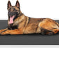 Veehoo Chew Proof Elevated Dog Bed - Cooling Raised Pet Cot - Silver Aluminum Frame and Durable Textilene Mesh Fabric, Unique Designed No-Slip Feet for Indoor or Outdoor Use, Black, 42"x 31"