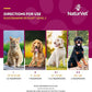 NaturVet Glucosamine DS Plus Hip & Joint Support Liquid Pet Supplement – Level 2 Moderate Care for Dogs & Cats – Includes Glucosamine, MSM, Chondroitin – 16 Oz
