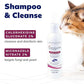 CeraSoothe® CHX+MC Antiseptic Shampoo 16oz