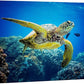 wall26 Canvas Print Wall Art Vibrant Ocean Underwater Swimming Turtle Nature Animals Photography Realism Rustic Scenic Landscape Wilderness Earth Colorful for Living Room, Bedroom, Office - 24"x36"