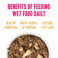 Weruva BFF Minced Natural Wet Cat Food, Tuna and Salmon Soulmates in Gelee, 3oz Can, Pack of 24