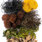 SuperMoss (23302) Moss Mix – Premium Decorative Moss for Crafts, Terrariums, Wedding & Table Décor, 80.75 Cubic inches (Approx. 2 oz), Vermont