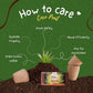 4 Pack Premium Coco Coir Brick for Plants | 100% Organic Compressed Coconut Coir Bricks Starting Mix, Coco Coir Fiber Coconut Husk for Planting, Gardening, Potting Soil Substrate, Herbs, 1.4 LB/Brick