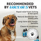 Restore + Soothe 2 in 1 Shampoo + Conditioner for Sensitive Skin for Dogs & Cats - Dog Skin and Coat Supplement - Soothes Itching, Irritation and Hot Spots (Coconut) - 16oz