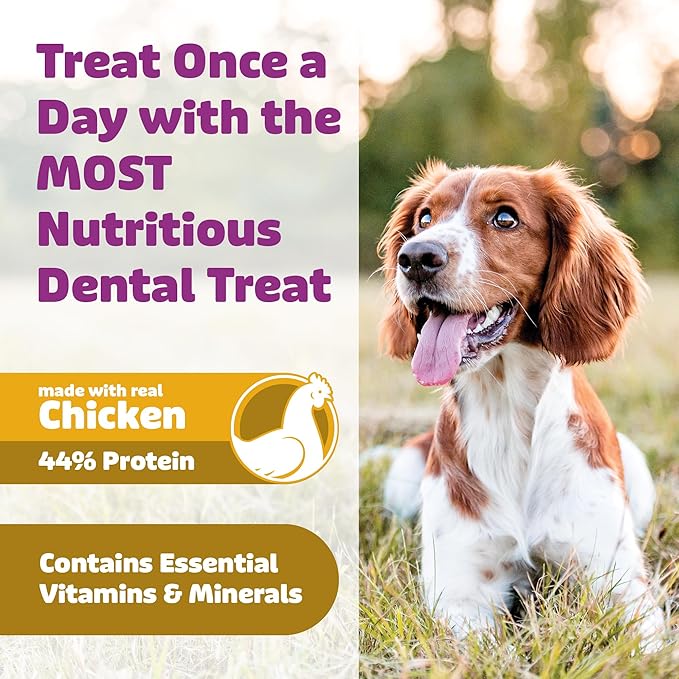 Dog Dental Treats – Vet VOHC Approved, Removes Tartar & Cleans Teeth – Yummy High Protein Chicken Treat for Extra Small Dogs (Mini Pack, 30 Count)