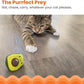 Catstages Lil' Avocato Cat Toy, Interactive Plush Avocado with Catnip, Kicker & Chew Toy for Indoor Cats, Encourages Active Play, Mental Stimulation, Dental Health, and Solo Fun, Green