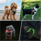PceoTllar Light Up Dog Harness, LED No Pull Reflective Dog Harness, Flashing Lighted for Night Walking - Small/Medium, (Black Red,m)