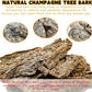BNOSDM Reptile Terrarium Bark Substrate Bedding Tortoise Natural Cork Bark Reptile Climbing Mat Habitat Decor for Lizard Snake Spiders Hermit Crabs Tarantula Geckos Bearded Dragons (1.4 LB)