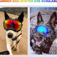 Large Dog Sunglasses with Adjustable Strap UV Protection, Winproof Dog Puppy Sunglasses, Suitable for Medium-Large Dog Pet Glasses, Dogs Eyes Protection(Colorful)