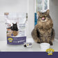 Dr. Elsey's cleanprotein Chicken Recipe Wet Cat Food (Case of 24), 2.75 oz Canned Food