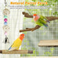 kathson 5pcs Natural Parrot Perch for Cage Wooden Bird Perches Grape Bird Stick Parakeet Climbing Standing Branches Toy Chewable Cage Accessories for Small Budgies Cockatiels Lovebirds