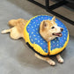 Katoggy Inflatable Dog Cone Collar for Dogs After Surgery, Soft Adjustable Blow up Donut E-Collar for Small Medium Large Dogs and Cats