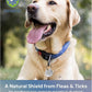 Natural Flea & Tick Repellent Collar Tag for Dogs & Cats – BioPower Pet Shield – Safe for Pets When Used as Directed – Lasts 1 Full Year (Small Tag (<10 Lbs), 2, Count)