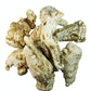 Green Hill Tea Astragalus Root Tea – Dried Astragalus root for Herbal Infusion - Traditional Chinese Herbal Tea - Caffeine-Free, Gluten-Free, Vegan - Rich in Antioxidants當歸 当归 5 OZ