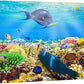 wall26 Canvas Print Wall Art Sunlight Ocean Sea Coral Reef Anemone Fish Nature Animals Photography Realism Rustic Scenic Landscape Wilderness Earth for Living Room, Bedroom, Office - 16"x24"