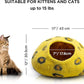 Woolygon Premium Felt Cat Cave Bed - Polka Dot Series - Wool Kitty Beds Handcrafted Kitten Caves Bed for Indoor Cats - Eco-Friendly Merino Wool, Foldable Cat Hideaway Cat Houses Pod